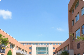 Educational Infrastructure  Services